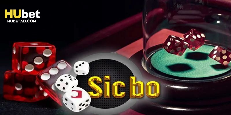 Phân bổ tài chính qua công thức của mẹo chơi tài xỉu hiệu quả